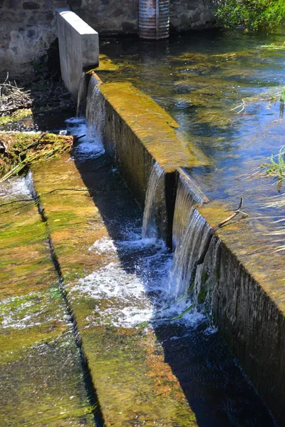 DSC_7819 (Large).JPG